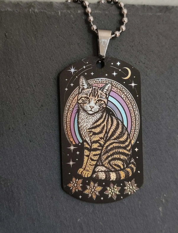 Nagrađeni Celestial Tabby Cat dizajn s dugom, mjesecom i zvijezdama, izrađen color gravurom na inox privjesku prema fotografiji ljubimca.