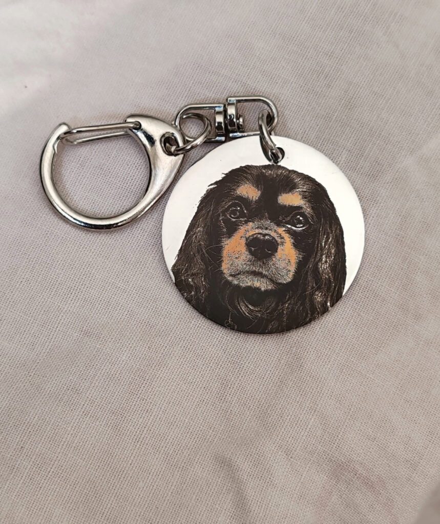 Delica, Cavalier King Charles španijel – kolor gravura prema fotografiji na okruglom privjesku od nehrđajućeg čelika 3 cm